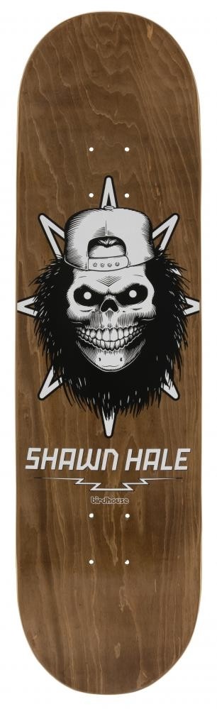 birdhouse dck hale skull brown 8´5 