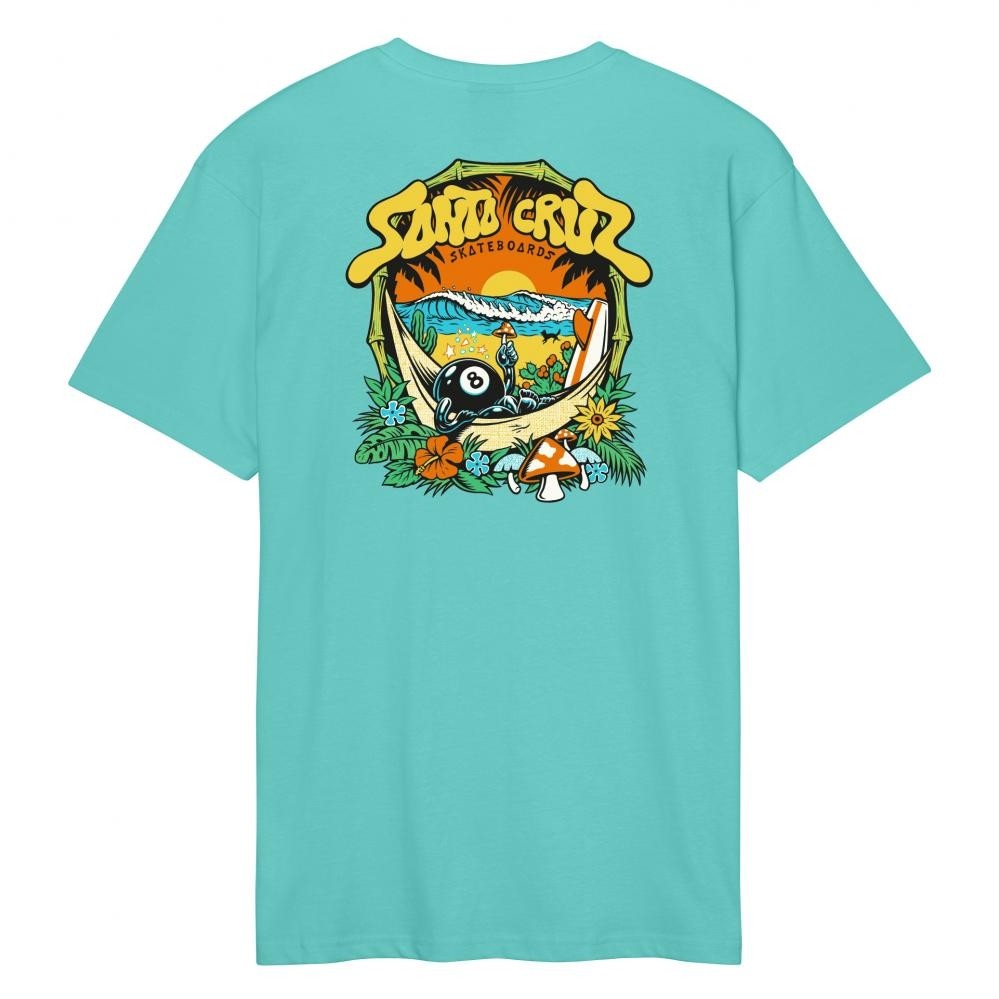 santa cruz ts winkowski 8ball trip pool blue