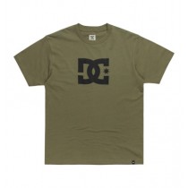 dc shoes ts star deep lichen green