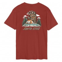 santa cruz ts screaming grizzly dark rust 