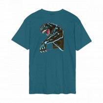 santa cruz ts natas sketch panther teal