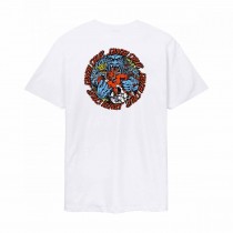 santa cruz ts roskopp monster strip white