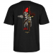 powell peralta ts zach doelling archer black