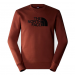 north face sw drew peak brandy 08-03-25 ate 28-06-25