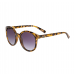 vans sg rise n shine tortoise